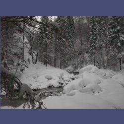 2013-02-02_Rappinschlucht_Lainlalm (059).jpg